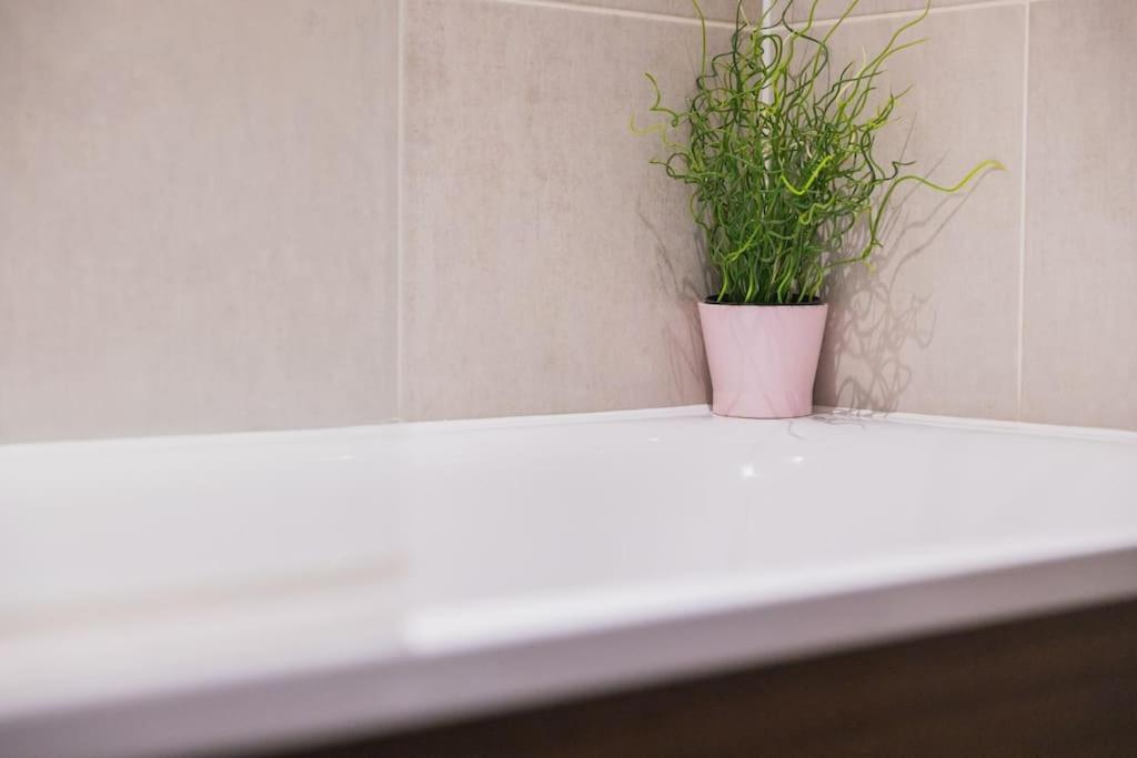 Cosy City Centre Apartment With Parking Birmingham Eksteriør bilde